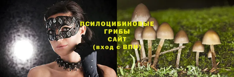 Псилоцибиновые грибы Magic Shrooms  площадка формула  Калининец 